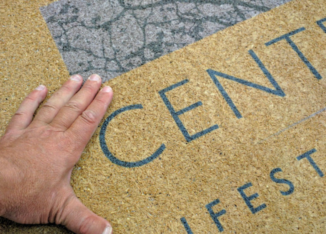 Captura de pantalla 2025-05-03 a las 3.32.21 p. m.